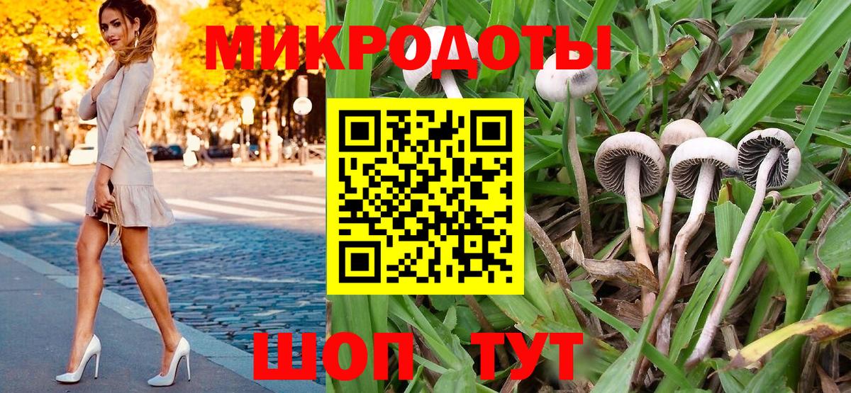 Псилоцибиновые грибы Psilocybine cubensis Чистополь