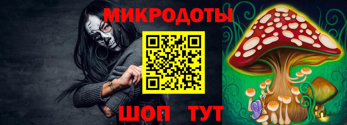 Чистополь  Псилоцибиновые грибы Psilocybe  Вход с VPN 